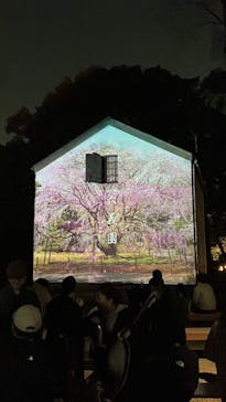 六義園に投稿された画像（2025/3/23）
