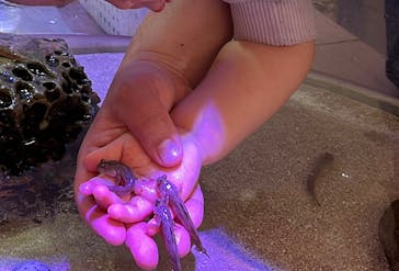 南知多ビーチランド＆南知多おもちゃ王国に投稿された画像（2025/3/23）