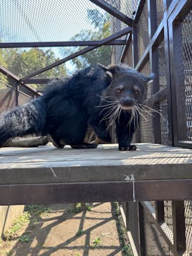 ANIMAL WONDER REZOURT 市原ぞうの国・サユリワールドに投稿された画像（2025/3/23）