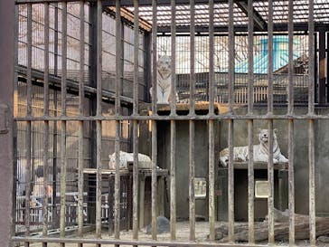 宇都宮動物園に投稿された画像（2025/3/23）