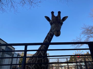宇都宮動物園に投稿された画像（2025/3/23）
