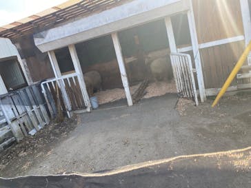 宇都宮動物園に投稿された画像（2025/3/23）