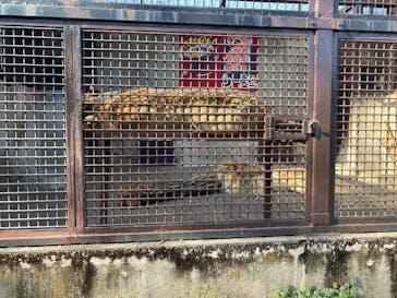 宇都宮動物園に投稿された画像（2025/3/23）