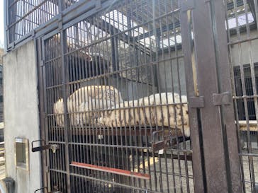 宇都宮動物園に投稿された画像（2025/3/23）