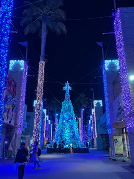 ひらかたパークに投稿された画像（2025/3/23）