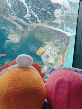 サンシャイン水族館に投稿された画像（2025/3/23）