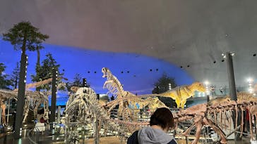 福井県立恐竜博物館に投稿された画像（2025/3/23）