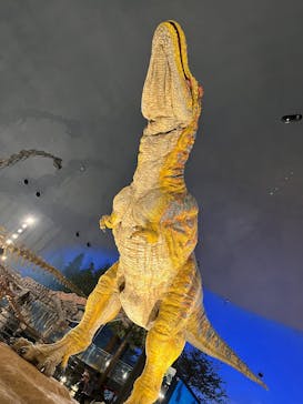 福井県立恐竜博物館に投稿された画像（2025/3/23）