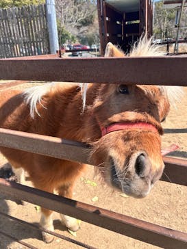 しろとり動物園に投稿された画像（2025/3/23）