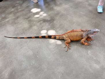 しろとり動物園に投稿された画像（2025/3/23）