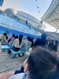 名古屋港水族館に投稿された画像（2025/3/24）