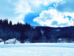 白神山地森のえき（（一社）白神山地ふじさと観光協会）に投稿された画像（2025/3/23）