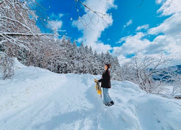 白神山地森のえき（（一社）白神山地ふじさと観光協会）に投稿された画像（2025/3/23）