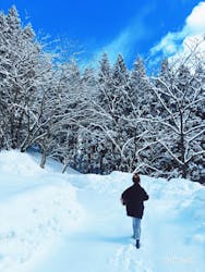 白神山地森のえき（（一社）白神山地ふじさと観光協会）に投稿された画像（2025/3/23）