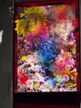 蜷川実花展 with EiM：彼岸の光、此岸の影 NINAGAWA Mika with EiM：Lights of the beyond, Shadows of this worldに投稿された画像（2025/3/23）