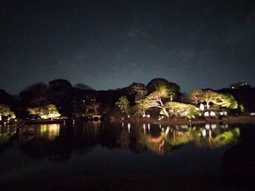 六義園に投稿された画像（2025/3/23）