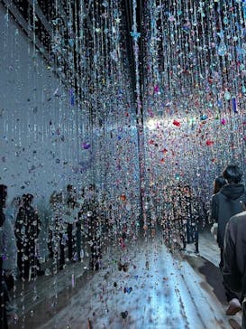 蜷川実花展 with EiM：彼岸の光、此岸の影 NINAGAWA Mika with EiM：Lights of the beyond, Shadows of this worldに投稿された画像（2025/3/23）