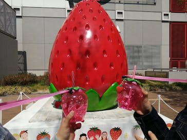 OSAKA Strawberry Festivalに投稿された画像（2025/3/23）