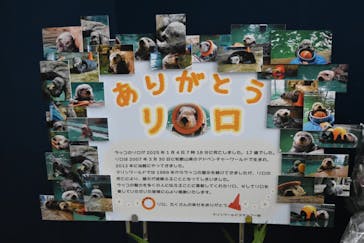 マリンワールド海の中道に投稿された画像（2025/3/23）