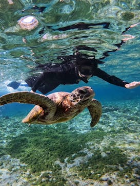 Nami宮古島に投稿された画像（2025/3/23）