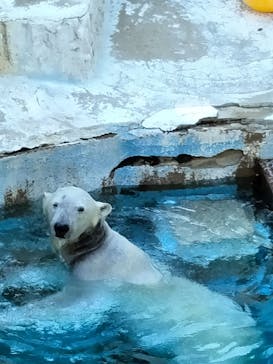 天王寺動物園に投稿された画像（2025/3/23）
