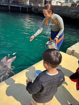 伊豆・三津シーパラダイスに投稿された画像（2025/3/24）