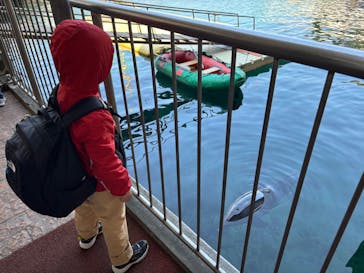 伊豆・三津シーパラダイスに投稿された画像（2025/3/24）