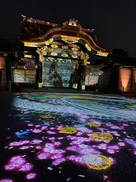 NAKED meets 二条城 2025 観月に投稿された画像（2025/3/24）