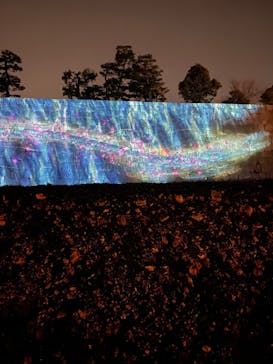 NAKED meets 二条城 2025 観月に投稿された画像（2025/3/24）