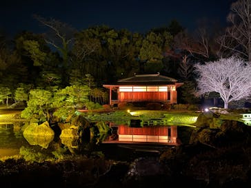 NAKED meets 二条城 2025 観月に投稿された画像（2025/3/24）