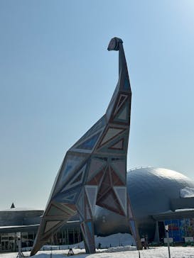 福井県立恐竜博物館に投稿された画像（2025/3/24）