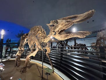 福井県立恐竜博物館に投稿された画像（2025/3/24）