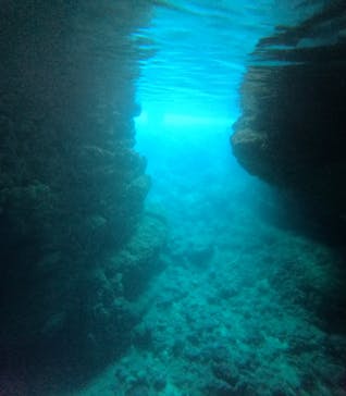 青の洞窟専門店　沖縄ダイビングショップ和に投稿された画像（2025/3/24）