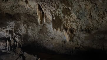 石垣島鍾乳洞に投稿された画像（2025/3/24）