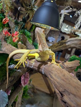 NARA IKIMONO MUSEUMに投稿された画像（2025/3/24）