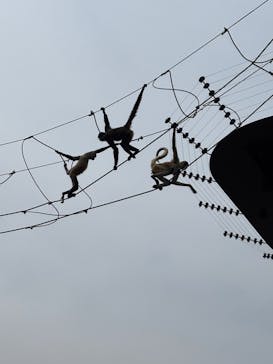 日立市かみね動物園に投稿された画像（2025/3/24）