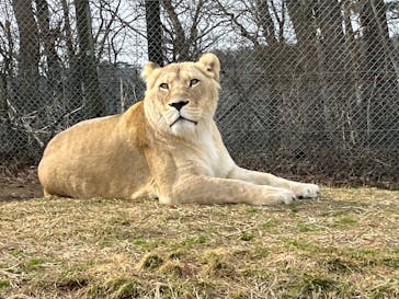 東北サファリパークに投稿された画像（2025/3/24）