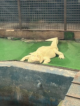 東北サファリパークに投稿された画像（2025/3/24）