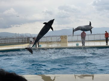 マリンワールド海の中道に投稿された画像（2025/3/24）