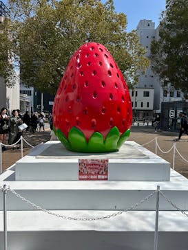 OSAKA Strawberry Festivalに投稿された画像（2025/3/24）