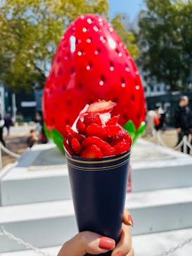 OSAKA Strawberry Festivalに投稿された画像（2025/3/24）
