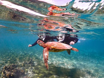 SUNSHINE MARIN 宮古島に投稿された画像（2025/3/24）