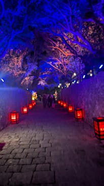 体験王国 むら咲むらに投稿された画像（2025/3/24）