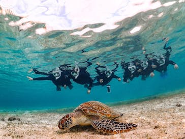 SUNSHINE MARIN 宮古島に投稿された画像（2025/3/24）