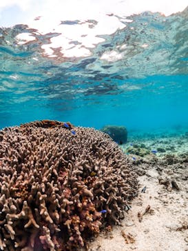 SUNSHINE MARIN 宮古島に投稿された画像（2025/3/24）