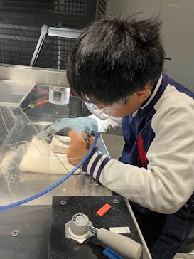 福井県立恐竜博物館に投稿された画像（2025/3/24）