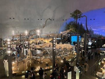 福井県立恐竜博物館に投稿された画像（2025/3/24）