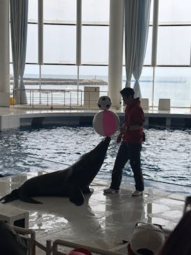 アクアワールド茨城県大洗水族館に投稿された画像（2025/3/24）