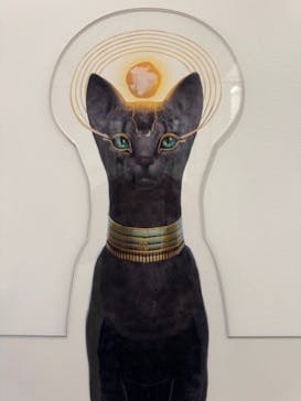 IMMERSIVE JOURNEYに投稿された画像（2025/3/24）