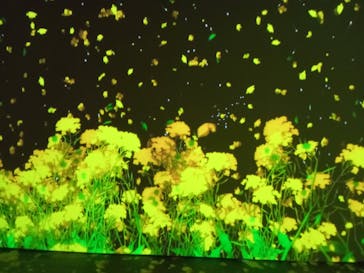 動き出す浮世絵展 TOKYOに投稿された画像（2025/3/24）